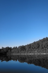 凪と夏空