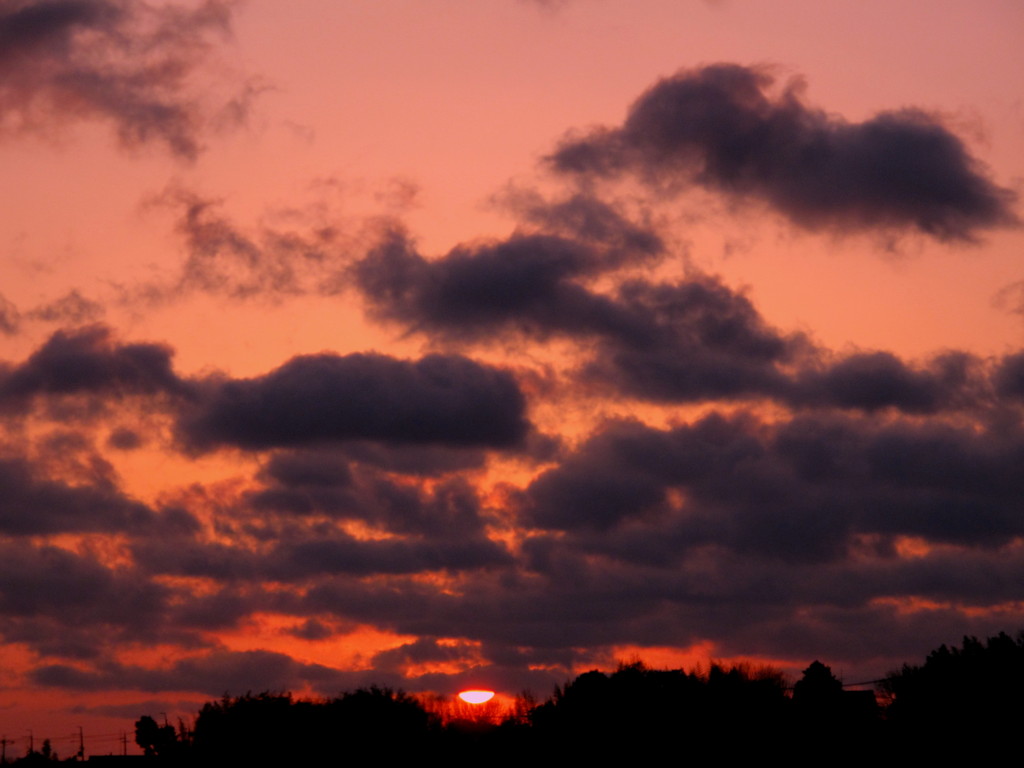 独り占めの夕日