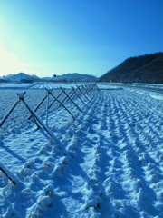 雪景色の田園風景