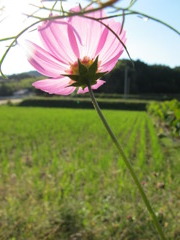 IMG_1501