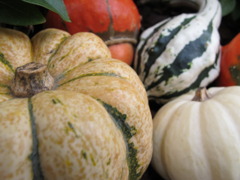 ハロウィーンのお友達だよ