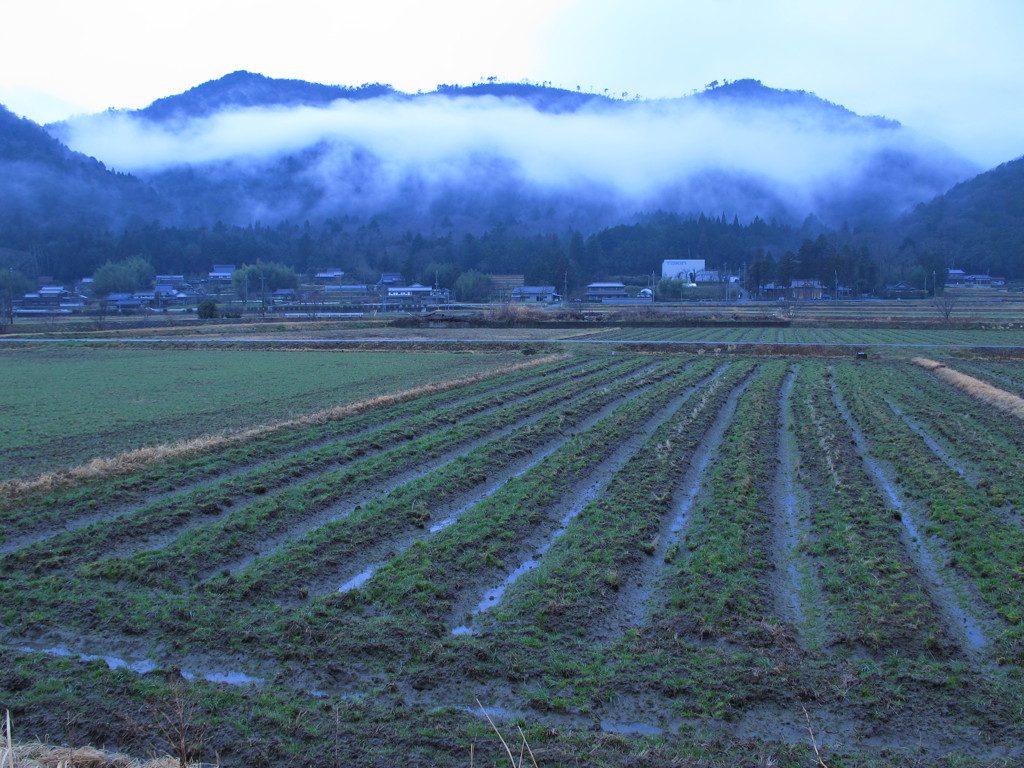 雨雲