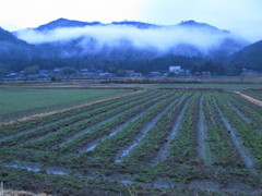 雨雲