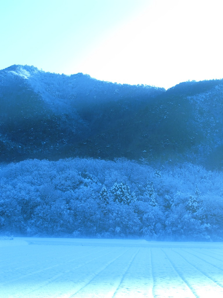 東山魁夷の世界？