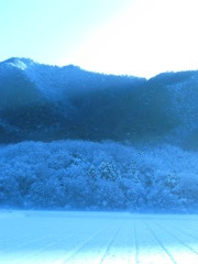 東山魁夷の世界？
