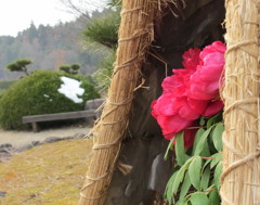 お隣さんは何している？
