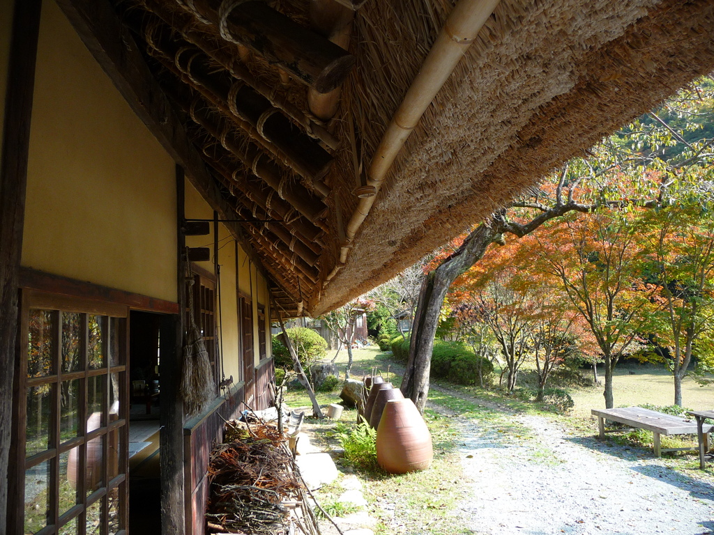 凄い屋根