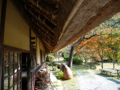 凄い屋根