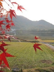 のんびり田舎