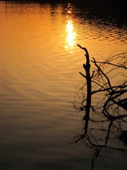 夕焼けの湖面
