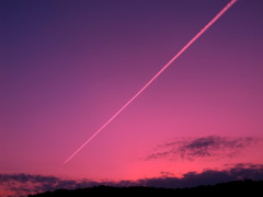 IMG_0660_1