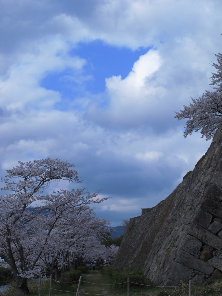 石垣と空と桜