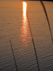 IMG_0709