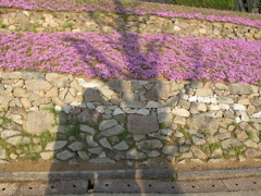 絆