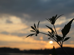 IMG_1403