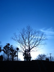 夕焼けのその前