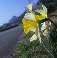 春の日差しが気持ちいい