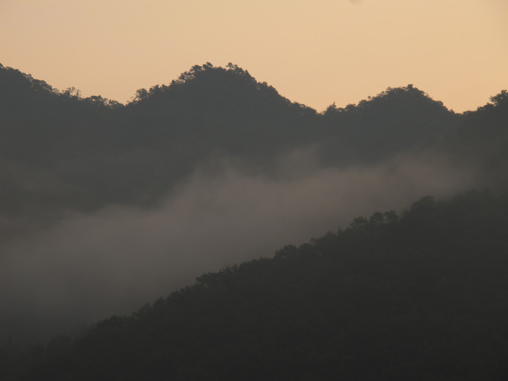 朝霧