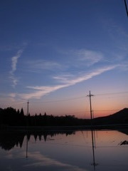 IMG_0629