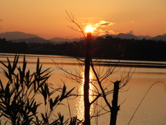 萌える夕日