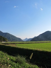 IMG_1524