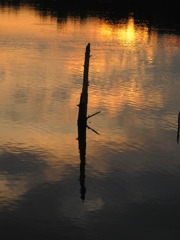 IMG_1406