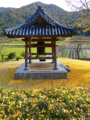 実はこんな場所です