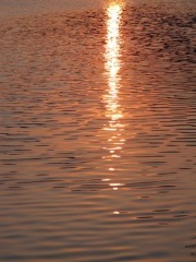 IMG_0566