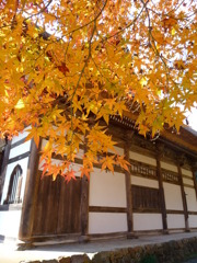 白壁に紅葉