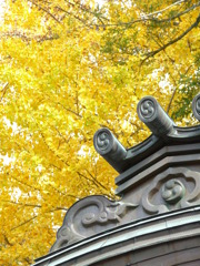 黄色い空