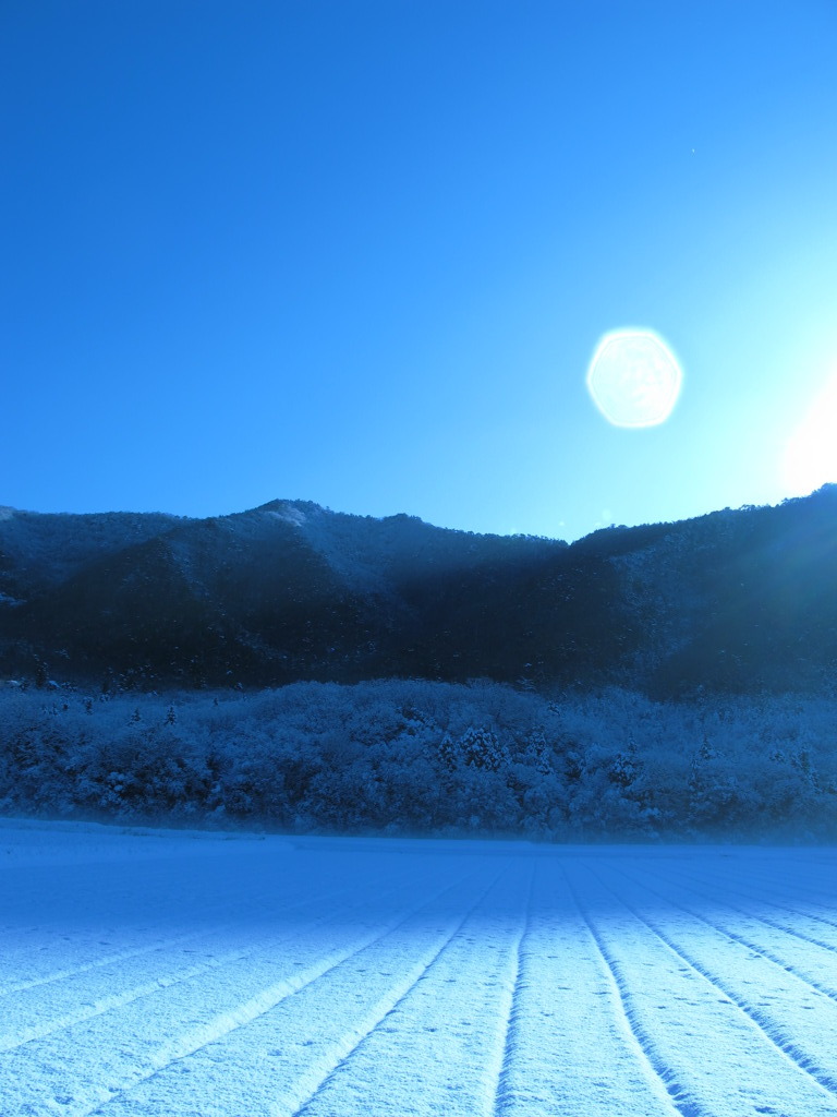 覚醒する太陽