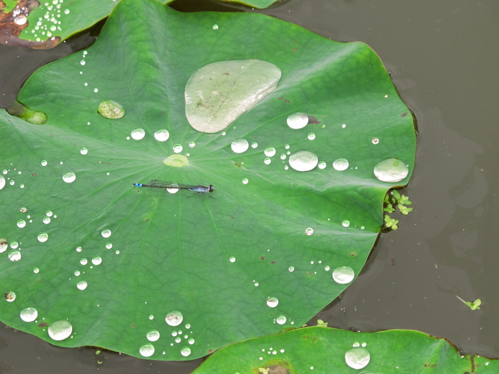 雨宿り（＾＾）