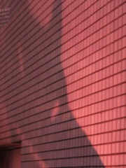 闇夜に狼が