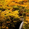錦秋の滝2