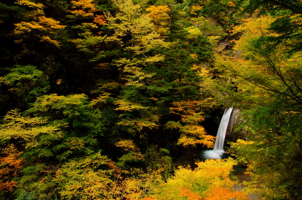 錦秋の滝