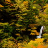 錦秋の滝