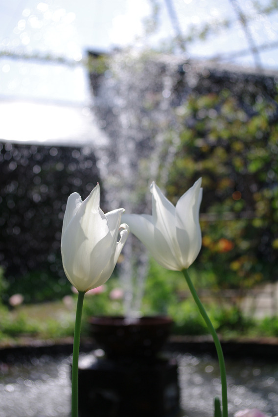 at CAVE D'OCCI WINERY