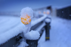 the winter corner