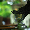 滲ドラ劇場