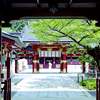 A Place in the Sun（陽のあたる場所）