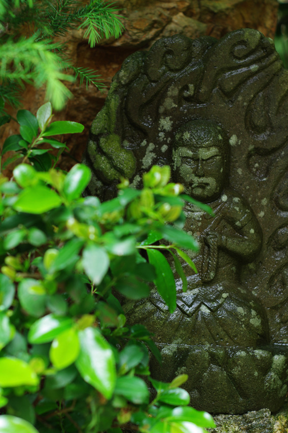 宝光院境内にて(2)【M50mmF1.7】