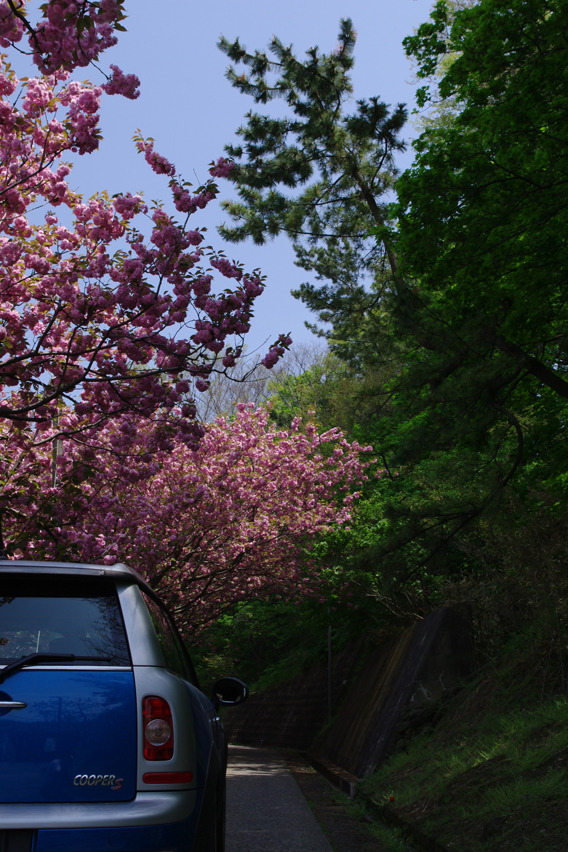 阿修羅男爵的トンネル