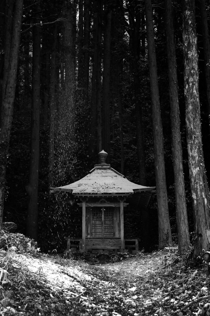 行った年，来た年_v2