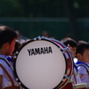Do you have a YAMAHA?