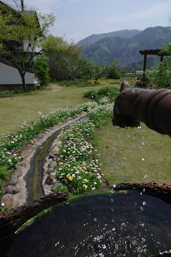 at CAVE D'OCCI WINERY