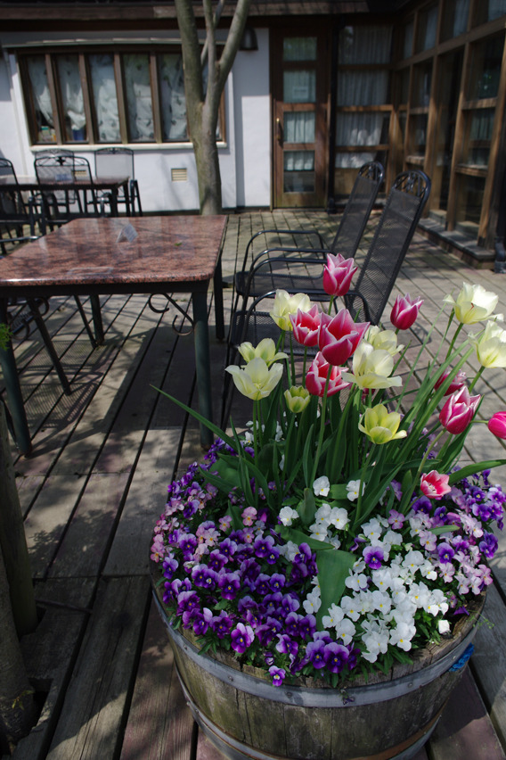 at CAVE D'OCCI WINERY