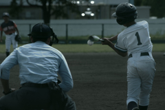 頑張れ！"あらなみ野球少年団"