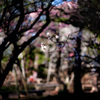 定点観測　～デジタルデトックス完了～