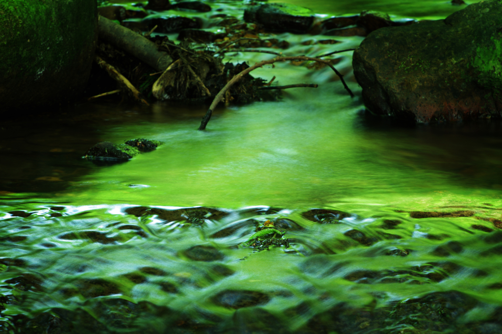 green soup