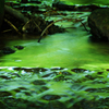 green soup